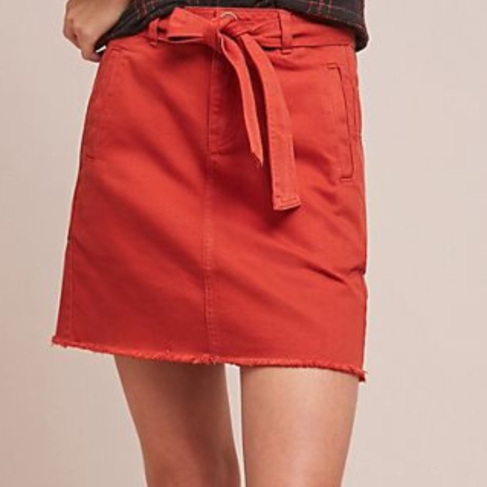 Anthropologie Pilcro and the Letterpress skirt